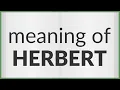 Download Lagu Herbert | meaning of Herbert