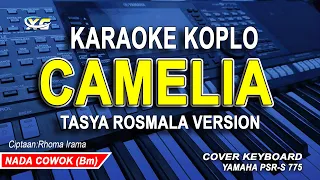 Download CAMELIA KARAOKE - VERSI TASYA ROSMALA (NADA PRIA / COWOK) CIPT:RHOMA IRAMA MP3