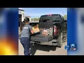 Norfolk SPCA collecting food for pet owners
