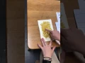 HWT Lowercase Print Letter e