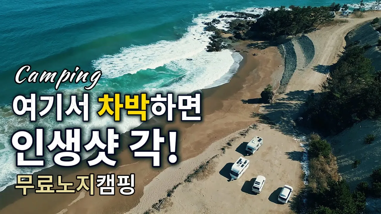 🌊여기에서 🚌차박하면 인생 샷이 나와요!/🚻화장실 굿!/무료노지차박캠핑/포항 칠포해변/애견동반/Camping サムネイル