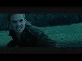 The Twilight Saga-Some Nights (FUN)