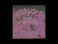 Download Lagu Mazzy Star - So Tonight That I Might See