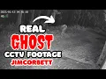 Download Lagu Real Ghost captured in Cctv footage at Jimcorbett | Night Drive in Tiger territory #tiger 
