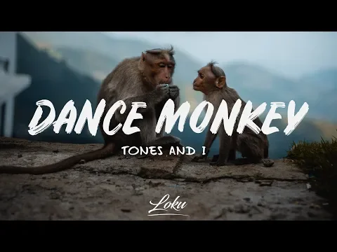Download MP3 Tones And I - Dance Monkey (Lyrics)
