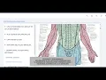 Intro BootCamp UltraDissection Academy