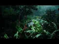 Rainforest Ambience: Rain Sounds, Jungle Animals and Thunder in the Distance | Relaxing Sleep Sounds