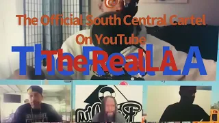 The Gangsta Convo Panel Discuss Why Some Gang Members get DP d