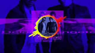 آهنگ دلم تنگته از پویان و سعید پانتر 