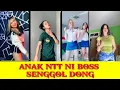 Download Lagu Anak NTT Ni Bos, Senggol Dong//TikTok Viral 2021