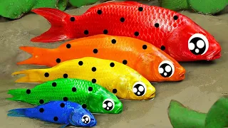 Best Of Small Fish Recipe | MINIATURE Fish Cooking Made EASY with Simple Recipe