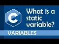 What is a static variable