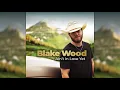 Blake Wood - Ain't in Love Yet (Official Audio)