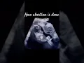 How Abortion Is Done Abortion on Realtime Ultrasound