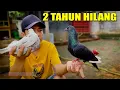 IRENG TLAMPIT BURUNG BARU PULANG LANSUNG GAS TERBANGIN JAUH
