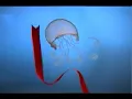 Cults - Go Outside