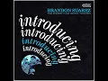 Manhattan - Brandon Suarez