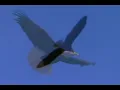 Fly Like An Eagle Steve Miller Band