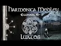 Eluveitie Harmonica Folk Medley (Inis Mona | Luxtos | Celtos | The Raven Hill)