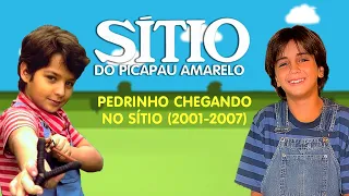 Pedrinho chegando no Sítio do Picapau Amarelo (2001-2007)