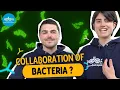 Bacteria vs antibiotics Sending out an SOS