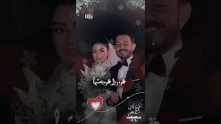 حالات واتس اب قطبيا حسين الجسمي فستانك الأبيض من حفل زفاف هشام جمال وليلي زاهر KOTB 