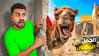 لما تشتري جمل 🐫🥩 ويهجم عليك انت واخوك الصغير 🥺😱 شوفو حصل اي l مصطفي الطوخي