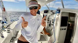 10 Knots Upwind… Performance Cruising Catamaran Sailing (and a shark bit our boat)