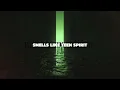 JAYDAN WOLF & TE PAI & KOSIMO - SMELLS LIKE TEEN SPIRIT (cover of Nirvana)