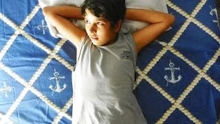 as folhas 2011 