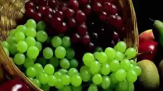 شفيقه جابلي العنب يامه دندنها