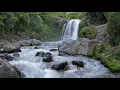 Download Lagu 1 Minute Relaxing music with nature background and beautiful birds sound.