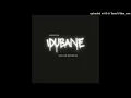 iDubane
