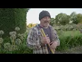 How to use the oscillating hoe to pull out weeds