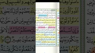 تثبيت وتربيط سورة الأنفال الربع الرابع و ان جنحوا للسلم 