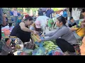 Download Lagu Mrs. Dam went to pick corn to sell and then bought chayote seeds to plant.
