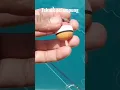 Download Lagu TEKNIK PELAMPUNG JITU BUAT MANCING IKAN KAKAP PUTIH❗