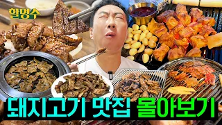 삼겹살부터 돼지갈비까지 돼지런하게 먹어보겠습니다🐷  | 여름방학 특집🌴 | 할명수 돼지 고기 몰아보기