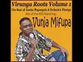 Tolinga Virunga