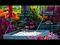 🔴LIVE Peaceful Fall Cottage Bird Feeder: Song Birds, Cardinals, Nature Sounds, Sleep, Cat TV