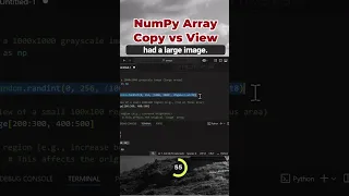 NumPy Array Copy vs View in Python