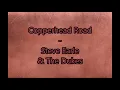 Copperhead Road - Steve Earle - Lyric video