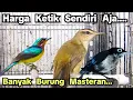 Lagu HARGA KETIK SENDIRI AJA...❗❗❗ BANYAK BURUNG MASTERAN❗❗❗