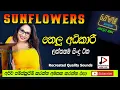 Lagu SUNFLOWER WITH NELU ADIKARI LIVE SHOW පැරණි සන්ෆ්ලවර් ​​නෙලු අධිකාරී මොරටුව 2004 RECREATED SOUNDS