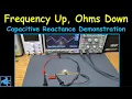 - Capacitive Reactance Demonstration