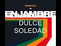 Enjambre - Dulce Soledad (Lyrics)