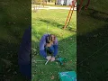 X-lights How to drive ground anchors