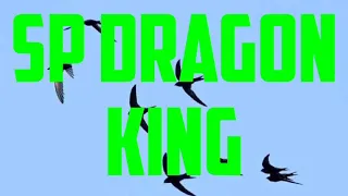 Download SUARA PANGGIL WALET II DRAGON KING MP3