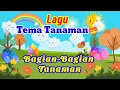 Download Lagu Lagu Anak PAUD/TK Tema Tanaman || Bagian-Bagian Tanaman