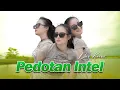 Lagu Dini Kurnia - Pedotan Intel [Official Music Video]